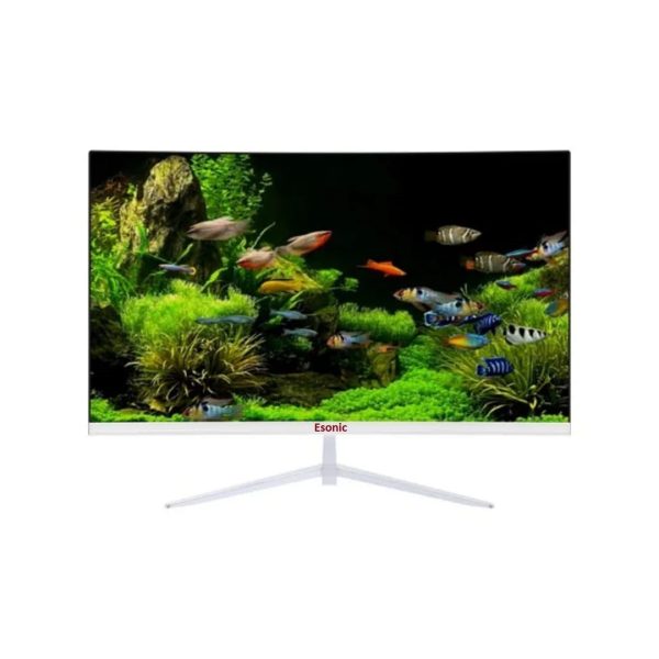 Esonic 22ELMW 21.5 inch HD LED Monitor